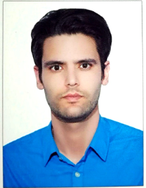 رضا چمنی