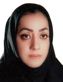 مرضیه سادات ابراهیمی