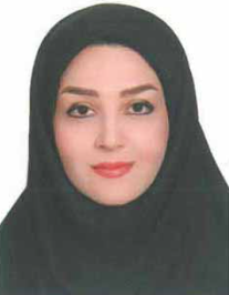 سیده نفیسه سلجوقی