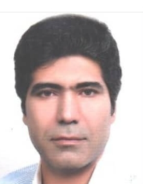 حمید قهرمانی تولابی