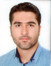 محمود محبی