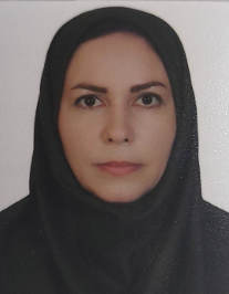 زینب پورحسین