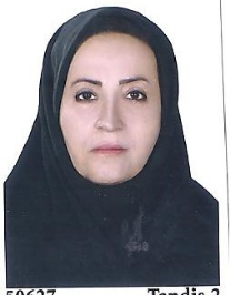 اعظم حقانی کرچگانی