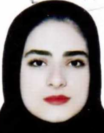 پونک احمدی شولی