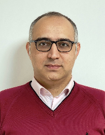 مجتبی هونجانی