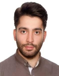 پارسا گودرزی