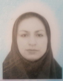 الهام السادات حسینی