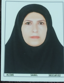 فاطمه امیری