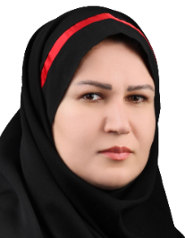 سیده مژگان حسینی