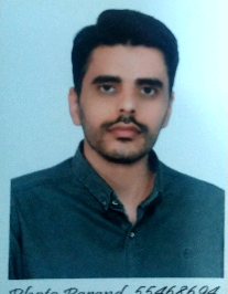 مجتبی میرزائی نیستانی