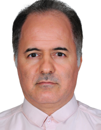 رضا عجمی