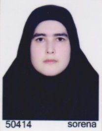 مینا ایری