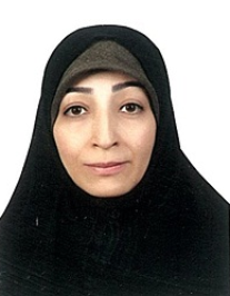 وحیده سیدمحسنی