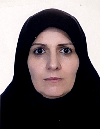سلطنت میرزاده رهنی