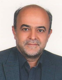 محمدرضا خامسی پور