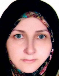 مینا امینی طامه