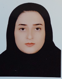 سیده مریم حسینی