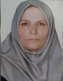 ملیحه دین محمد پور