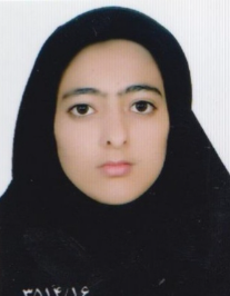 فرزانه ابراهیمیان میمند