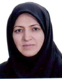 سیده میترا هاشمی پطرودی