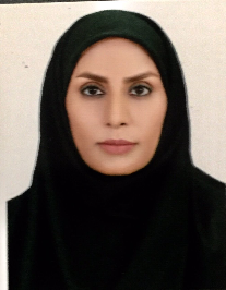 وجیهه منصوری ایجدانکی