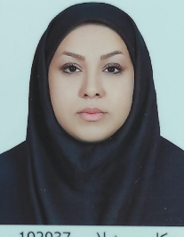 انیس آذریان