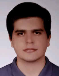 مهدی زنده دلان