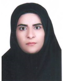 ندا فاضلی
