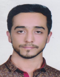 محسن رفیعی