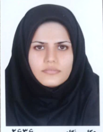 انیس کارگر