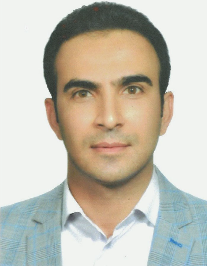 حمید امیری