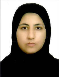 رباب میراثی