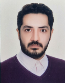 هادی برزگری