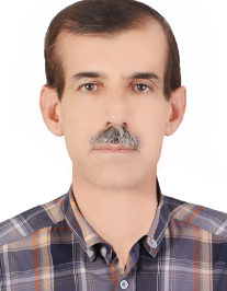 امیر حسین احمدی