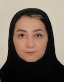 سولماز مددی ورزقانی