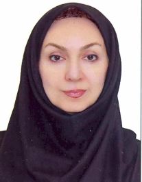 مهروز رفیعی