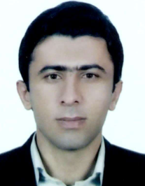 مهرداد حاجی حسنی