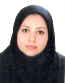 ساحل محمد امین زاده