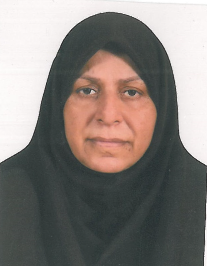 شیرین دخت حبیب زاده