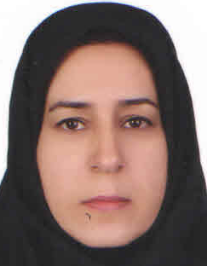 نرجس خاتون محققی