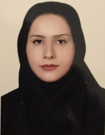 فرزانه السادات حسینی