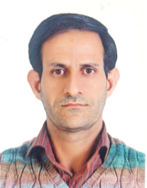 صولت افضلی گروه