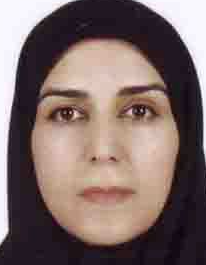 افسر منتخبی