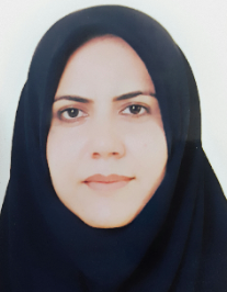 نیکی نیروزاده