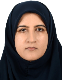 مهین ناروئی