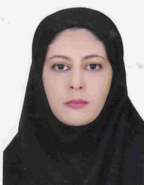 الهام امیری سرکاریزی