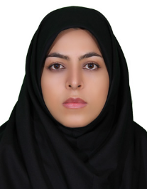 مریم صالحی ادیب