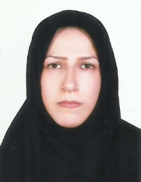 مریم زمینگرد
