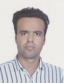 بهزاد علیپور اول