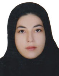 سویل دولت زاده